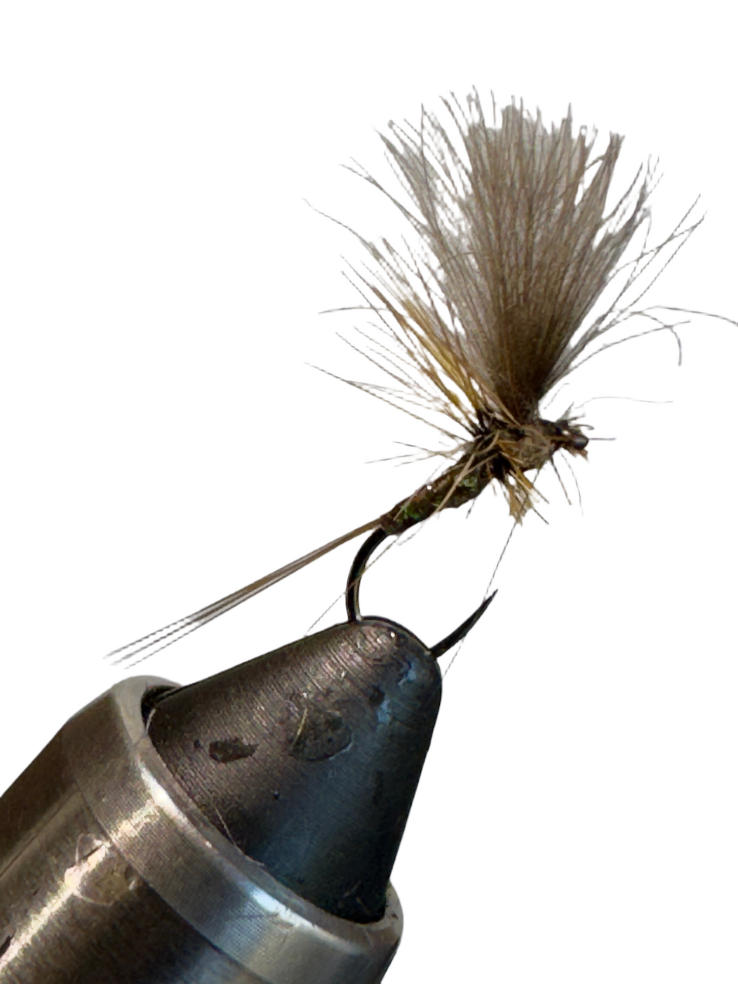 Olive CDC Emerger