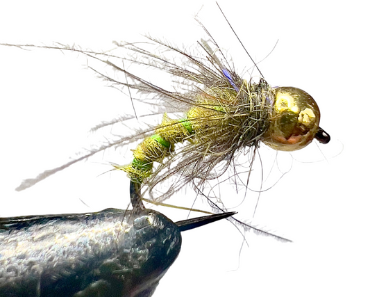 Curved Hook Caddis